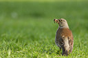 BUITEN BEELD Foto: 30014