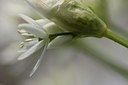 BUITEN BEELD Foto: 30056