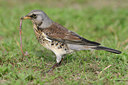 BUITEN BEELD Foto: 30087
