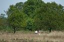 BUITEN BEELD Foto: 30119