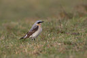 BUITEN BEELD Foto: 30155