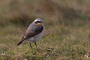 BUITEN BEELD Foto: 30156