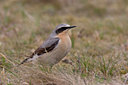 BUITEN BEELD Foto: 30158