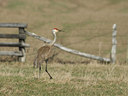 BUITEN BEELD Foto: 30160