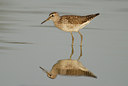 BUITEN BEELD Foto: 30182