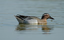 BUITEN BEELD Foto: 30186