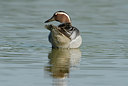BUITEN BEELD Foto: 30189