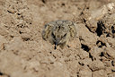 BUITEN BEELD Foto: 30205