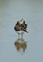 BUITEN BEELD Foto: 30226