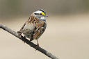 BUITEN BEELD Foto: 30298