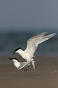 BUITEN BEELD Foto: 30300