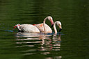 BUITEN BEELD Foto: 30308
