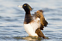 BUITEN BEELD Foto: 30352