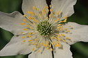 BUITEN BEELD Foto: 30363
