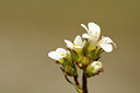 BUITEN BEELD Foto: 30472
