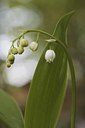 BUITEN BEELD Foto: 30536