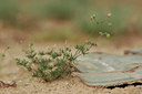 BUITEN BEELD Foto: 30711