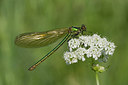 BUITEN BEELD Foto: 30895