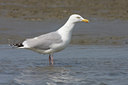 BUITEN BEELD Foto: 30929