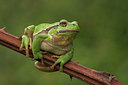 BUITEN BEELD Foto: 30941