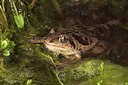BUITEN BEELD Foto: 30961