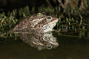 BUITEN BEELD Foto: 30965