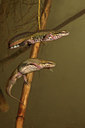 BUITEN BEELD Foto: 30974