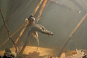 BUITEN BEELD Foto: 30983