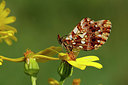 BUITEN BEELD Foto: 309002