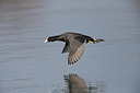 BUITEN BEELD Foto: 309015