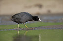 BUITEN BEELD Foto: 309039
