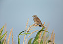 BUITEN BEELD Foto: 309045