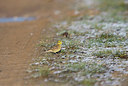 BUITEN BEELD Foto: 309050