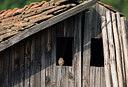 BUITEN BEELD Foto: 309065