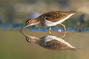 BUITEN BEELD Foto: 309153