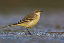 BUITEN BEELD Foto: 309198