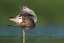 BUITEN BEELD Foto: 309241