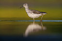 BUITEN BEELD Foto: 309242
