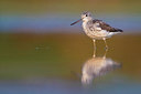 BUITEN BEELD Foto: 309243
