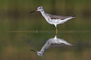 BUITEN BEELD Foto: 309244