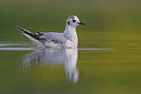 BUITEN BEELD Foto: 309268