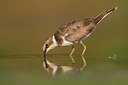 BUITEN BEELD Foto: 309270
