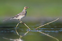 BUITEN BEELD Foto: 309370