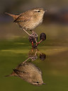 BUITEN BEELD Foto: 309406