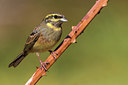 BUITEN BEELD Foto: 309439