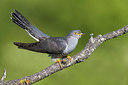 BUITEN BEELD Foto: 309442