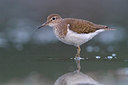 BUITEN BEELD Foto: 309449