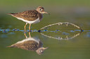 BUITEN BEELD Foto: 309450