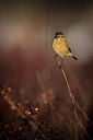 BUITEN BEELD Foto: 309473