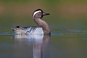 BUITEN BEELD Foto: 309489